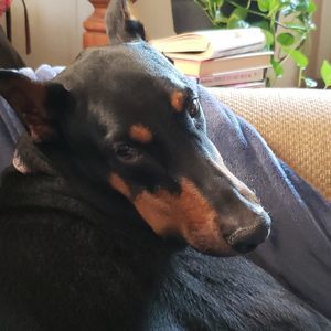 Meet your Posher, Barbara